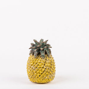 Des Pots - Ananasvaas geel - Schreuder - kraan.shop
