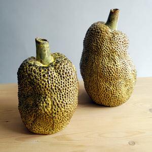 Des Pots - Jackfruit geel h.21d.13 - Schreuder - kraan.shop