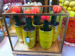 Des Pots - Vitrinekastje rechthoekig 36 cm - Schreuder - kraan.shop
