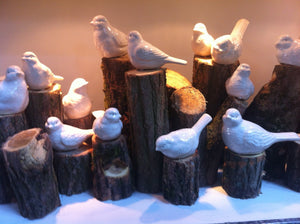 Des Pots - Vogeltjes wit assorti - Schreuder - kraan.shop