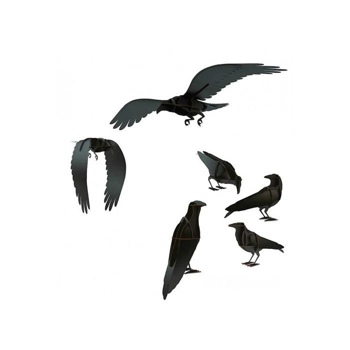 Ibride raaf Jack | "the raven" - Schreuder-kraan.shop