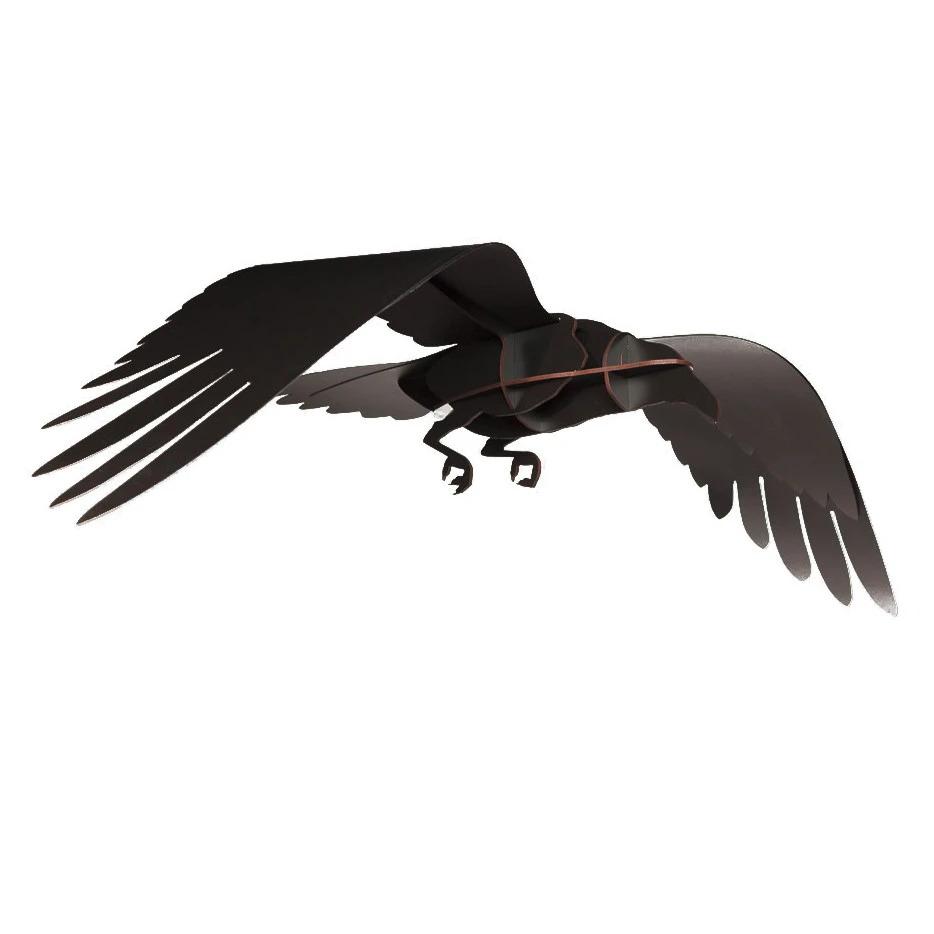 Ibride vliegende raaf Adam | "the raven" - Schreuder-kraan.shop
