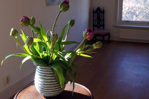 Des Pots - Ringvaas wit h.15 cm - Schreuder - kraan.shop