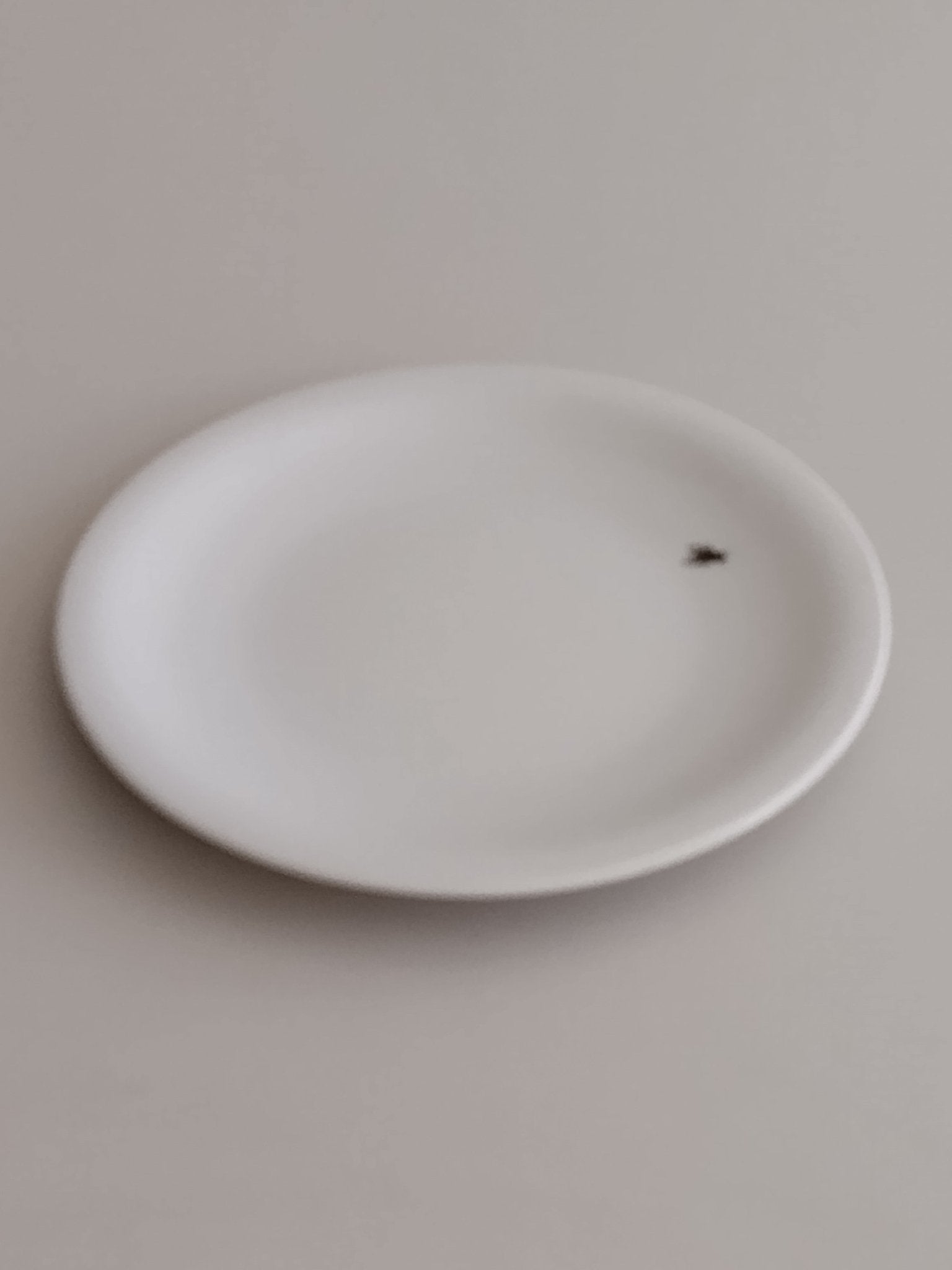 Adam & Ziege-Wit porseleinen bordje 22 cm, met vlieg - Schreuder-kraan.shop