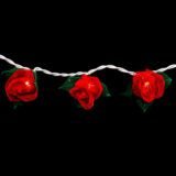 S&K-Fairy lights rode rozen, LED sfeerverlichting, lichtsnoer met 35 lampjes, ca. 3 m. - Schreuder-kraan.shop